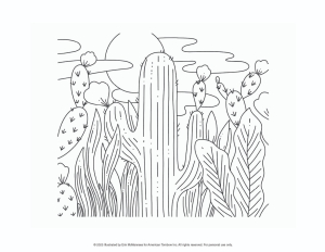 Desert Flora Artwork Coloring Worksheet